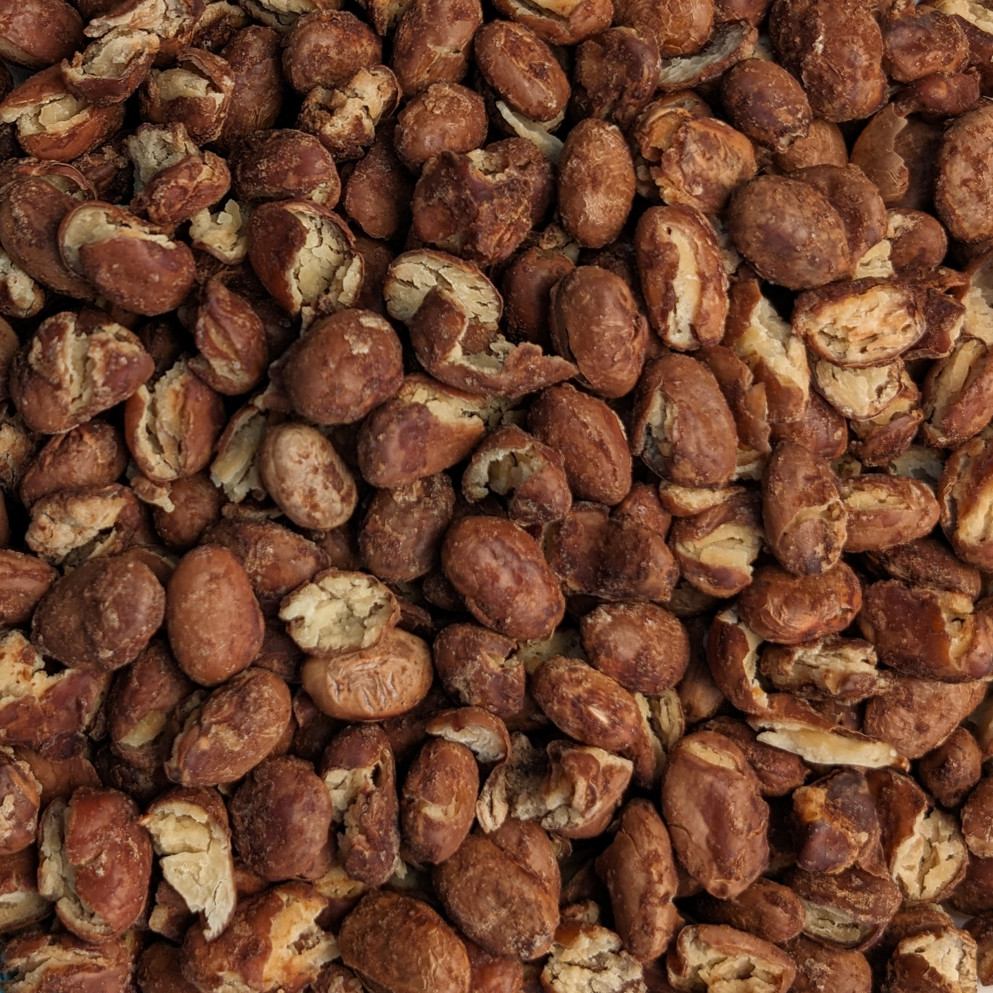 Pinto Beans