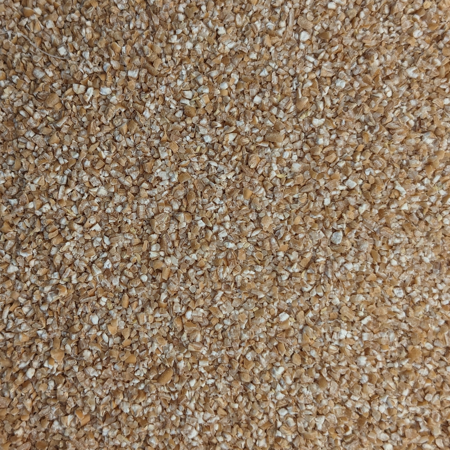 Steel Cut Oats