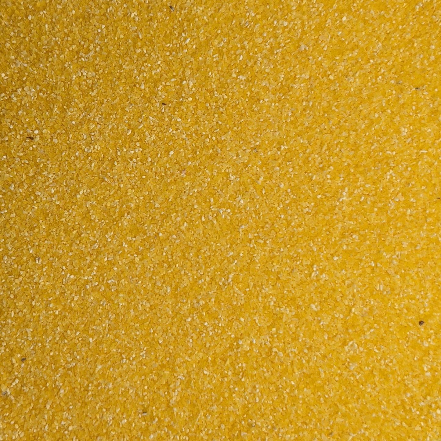 Cornmeal