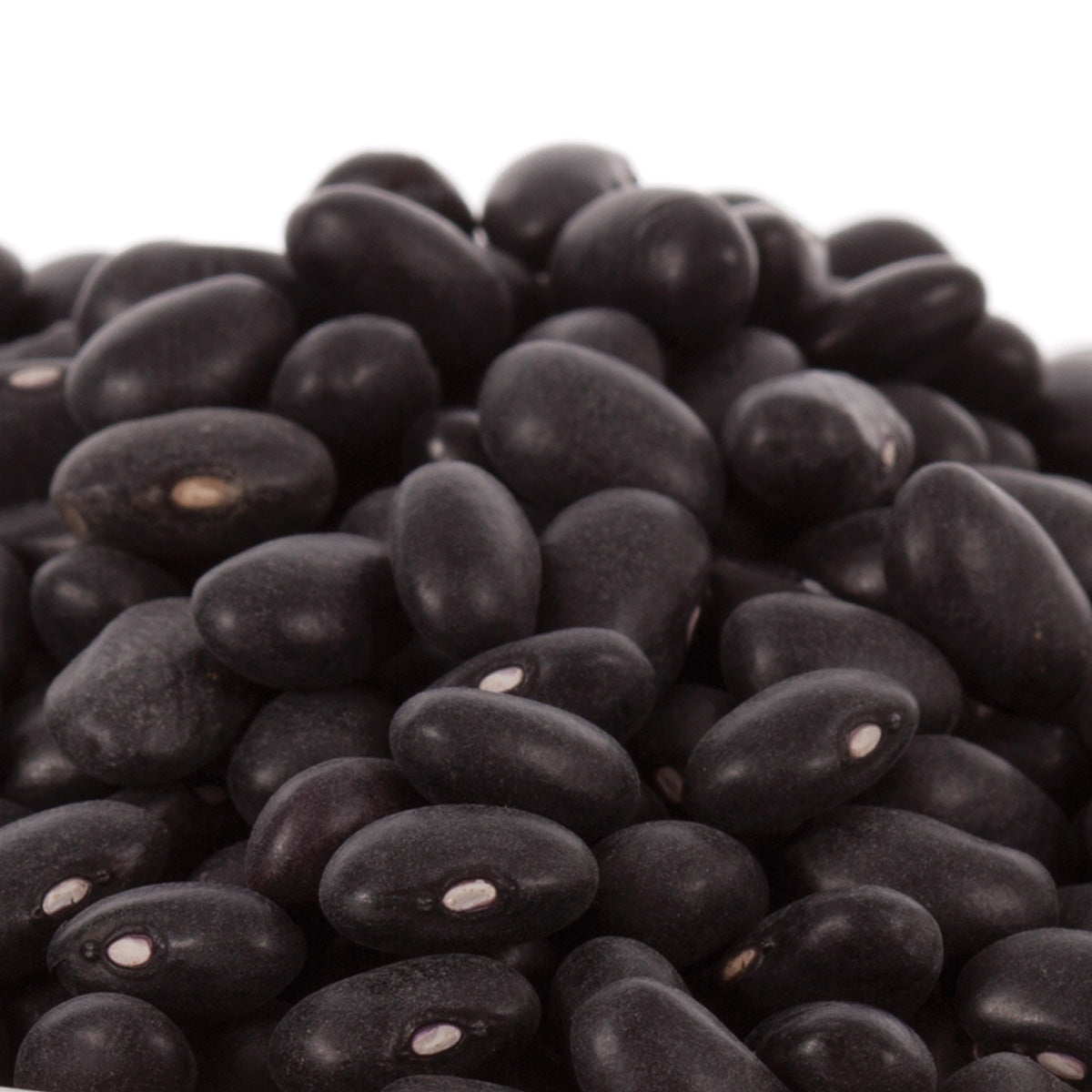 Black Beans