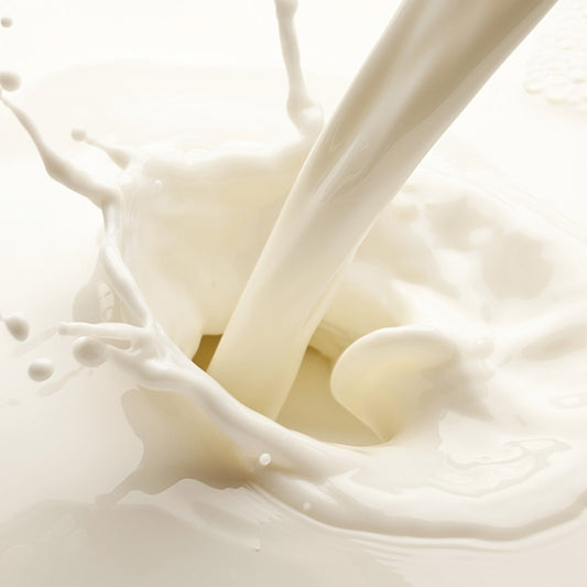Nonfat Milk