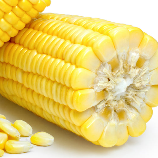 Sweet Corn